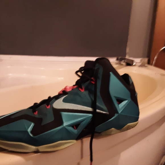 Labrons - Picture 2 of 2